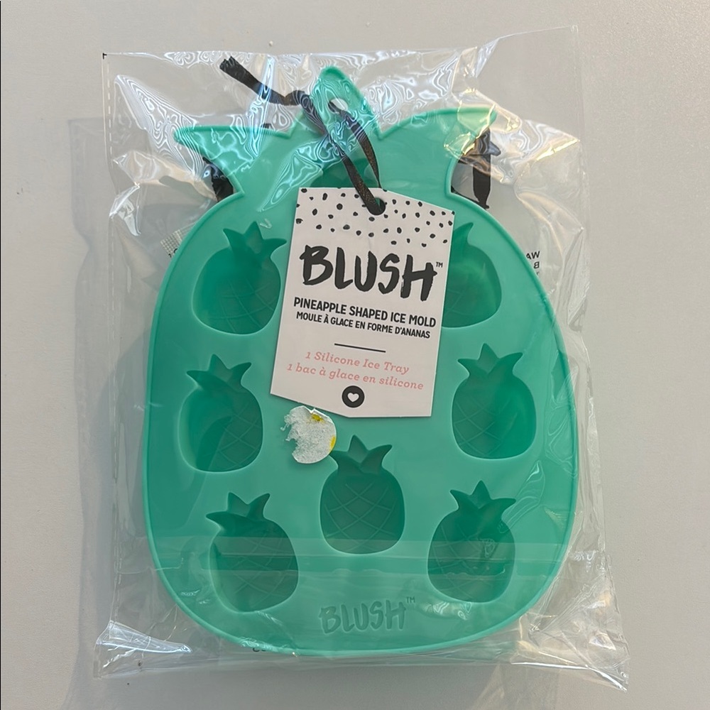 Blush Pineapple Ice Mold in Teal